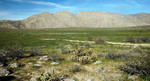 photo thumbnail #13