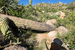 photo thumbnail #13