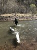 photo thumbnail #1