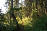 photo thumbnail #4