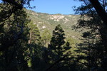 photo thumbnail #9