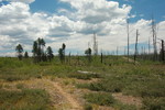 photo thumbnail #10
