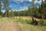 photo thumbnail #5