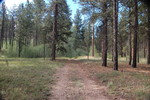 photo thumbnail #7