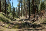 photo thumbnail #9