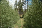 photo thumbnail #14