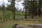 photo thumbnail #5