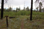 photo thumbnail #6