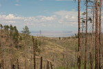 photo thumbnail #5