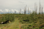 photo thumbnail #8