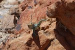 photo thumbnail #11