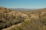photo thumbnail #12
