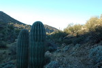 photo thumbnail #3