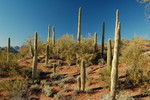 photo thumbnail #13