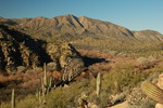 photo thumbnail #5