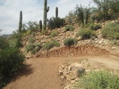 photo thumbnail #6