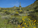 photo thumbnail #5