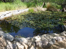 photo thumbnail #15
