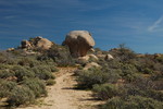 photo thumbnail #12