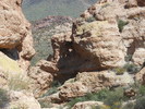 photo thumbnail #9
