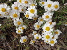 photo thumbnail #14
