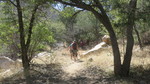 photo thumbnail #11