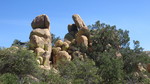 photo thumbnail #13