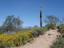 photo thumbnail #1