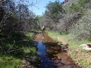 photo thumbnail #9
