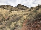 photo thumbnail #2