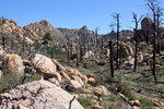 photo thumbnail #10