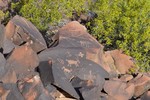 photo thumbnail #3