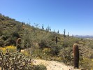 photo thumbnail #3