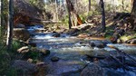 photo thumbnail #10