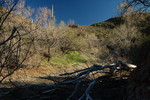 photo thumbnail #10