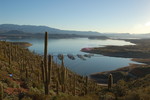 photo thumbnail #4
