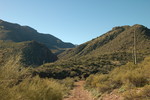 photo thumbnail #7