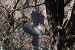 photo thumbnail #11
