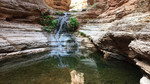 photo thumbnail #11