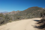 photo thumbnail #5