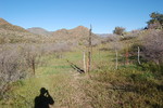 photo thumbnail #11
