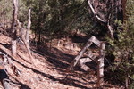 photo thumbnail #10