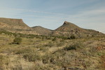 photo thumbnail #7
