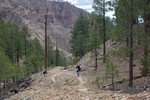 photo thumbnail #8