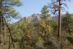 photo thumbnail #2