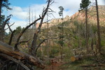 photo thumbnail #6