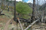 photo thumbnail #9