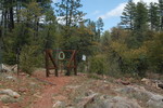 photo thumbnail #2