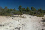 photo thumbnail #11