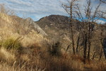 photo thumbnail #7